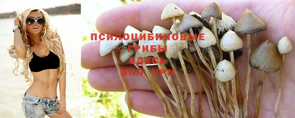 кокаин VHQ Белокуриха