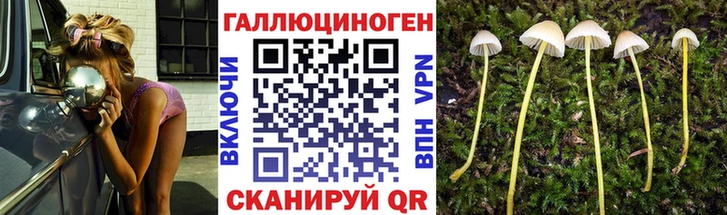 Купить  Белозерск  Псилоцибиновые грибы Magic Shrooms 